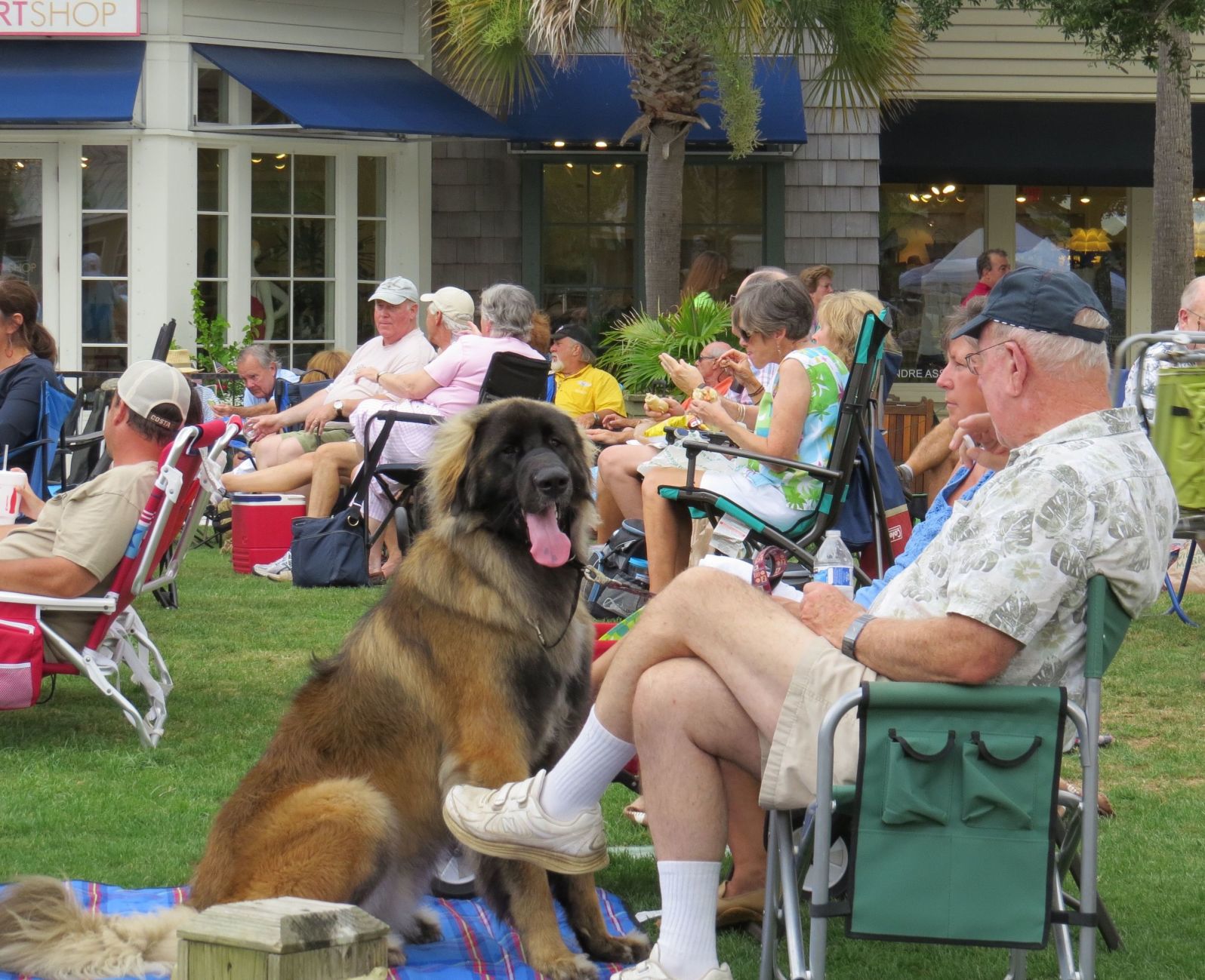 Music on the Green at Freshfields Village